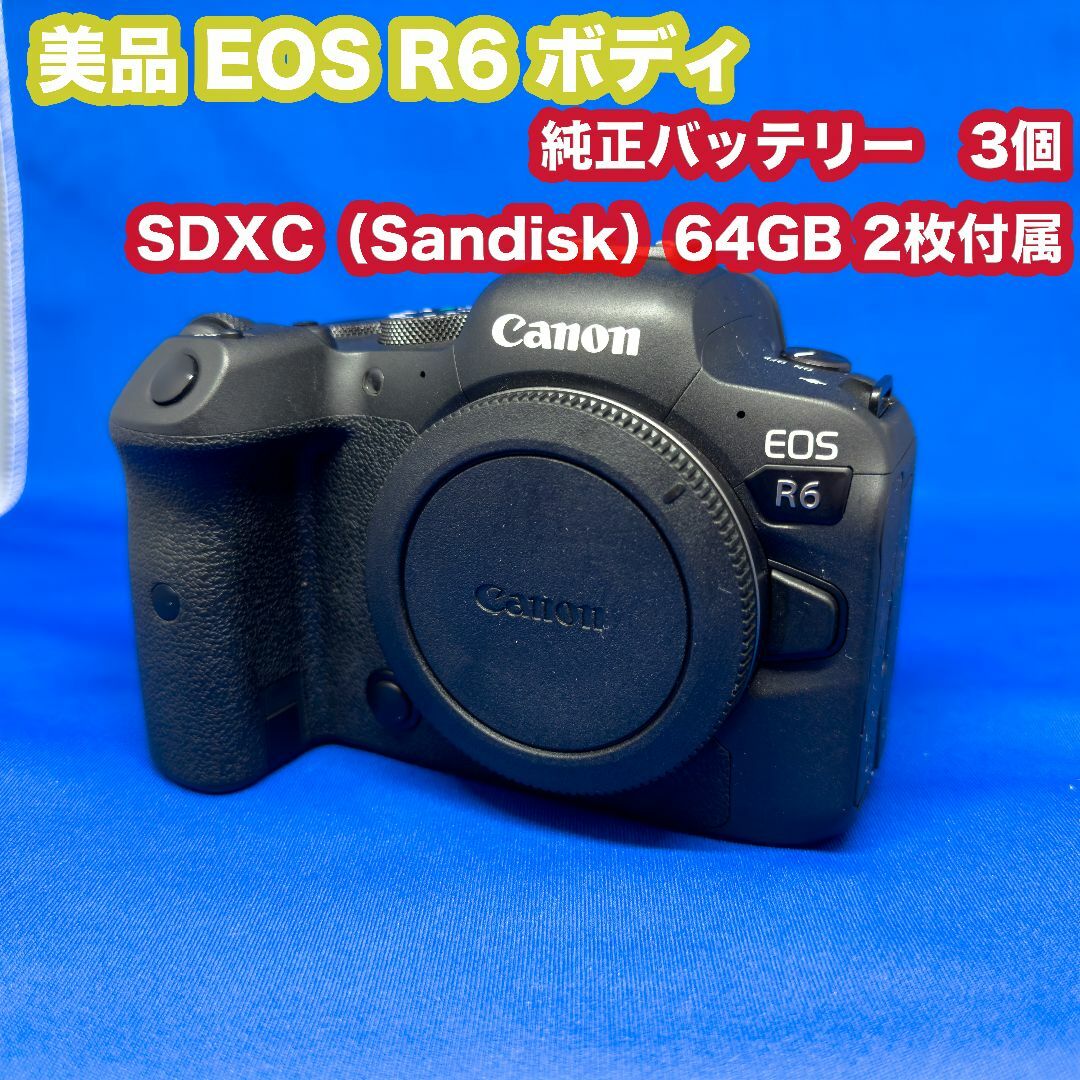 Canon EOS R6 美品 ミラーレス