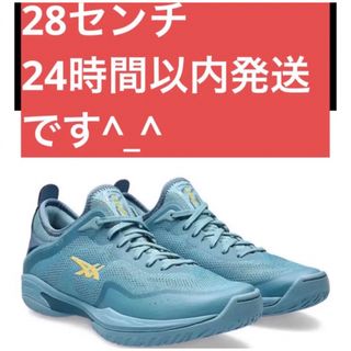 アシックス(asics)の28 新品　グライドノヴァ  GLIDE NOVA FF3 asics(バスケットボール)