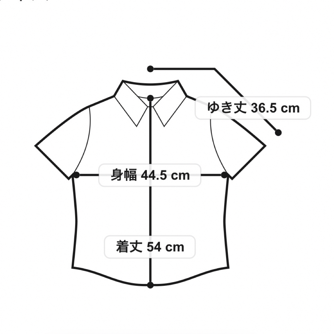 INDIVI(インディヴィ)のINDIVI ミリークロス　タイネックシャツ レディースのトップス(シャツ/ブラウス(半袖/袖なし))の商品写真