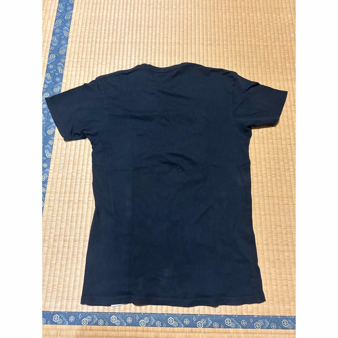 （専用）DIAMOND SUPPLY CO. ライオン Tシャツ 古着 メンズのトップス(Tシャツ/カットソー(半袖/袖なし))の商品写真