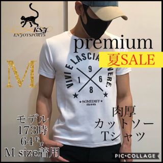 【細身ストレッチ】フィットネススポーツTシャツお洒落サーフ筋トレ ザラ 好きな方(Tシャツ/カットソー(半袖/袖なし))