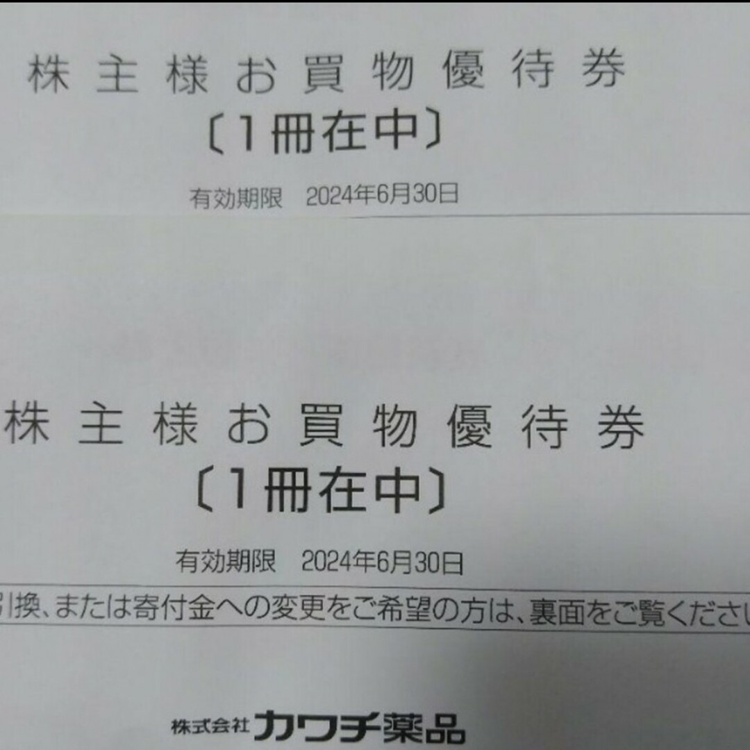 エンタメ その他カワチ薬品 株主優待30,000円分