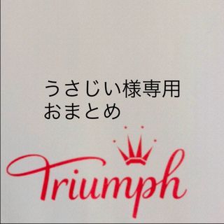 トリンプ(Triumph)の【新品タグ付】triumph★天使のブラ・魔法のハリ感D75（定価¥6,490）(ブラ)