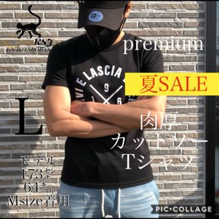 【細身ストレッチ】フィットネススポーツTシャツお洒落サーフ筋トレ ザラ 好きな方(Tシャツ/カットソー(半袖/袖なし))