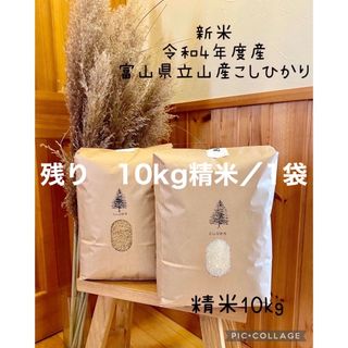 sirasu様専用　令和4年産　富山県立山産コシヒカリ　精米10kg(米/穀物)