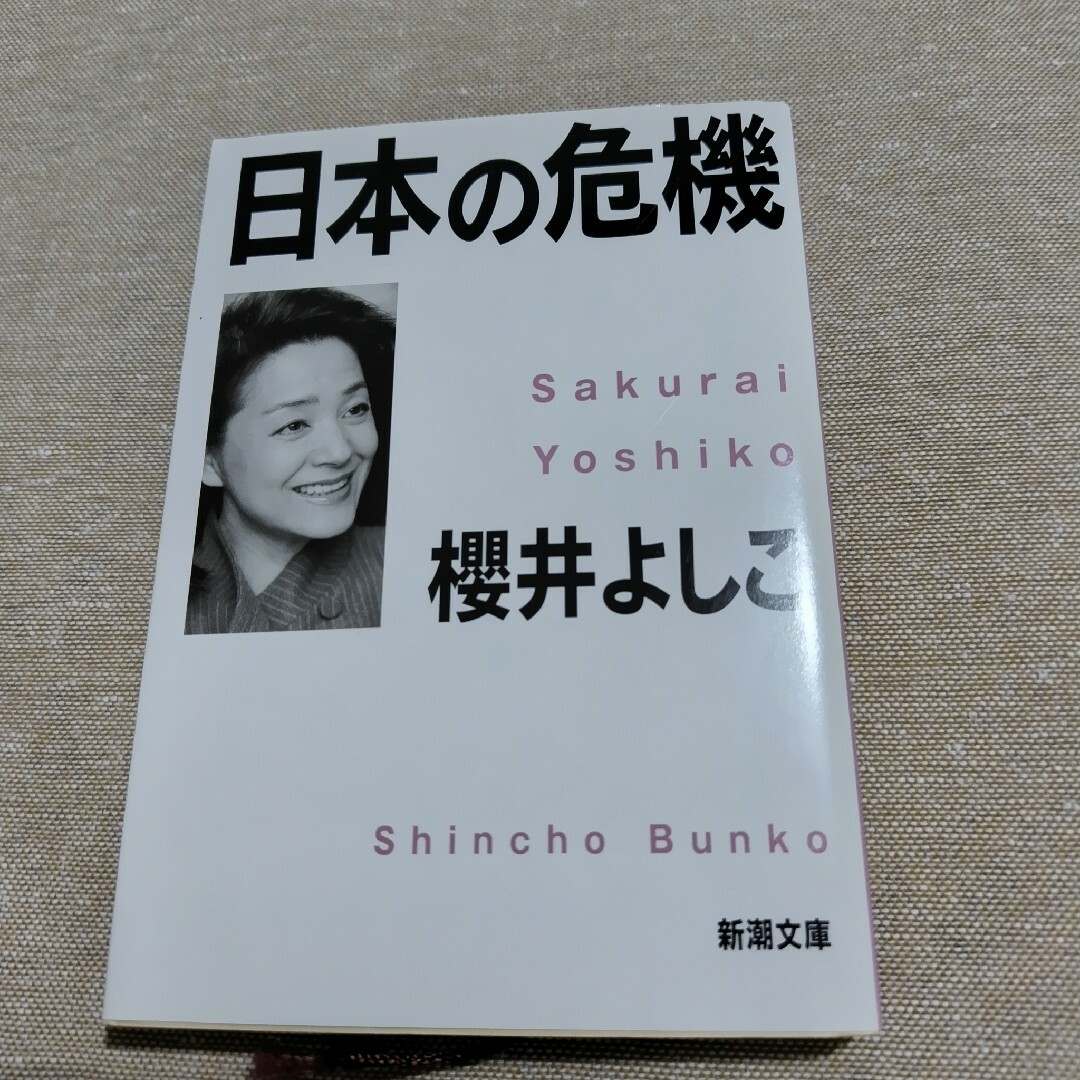 日本の危機 エンタメ/ホビーの本(文学/小説)の商品写真