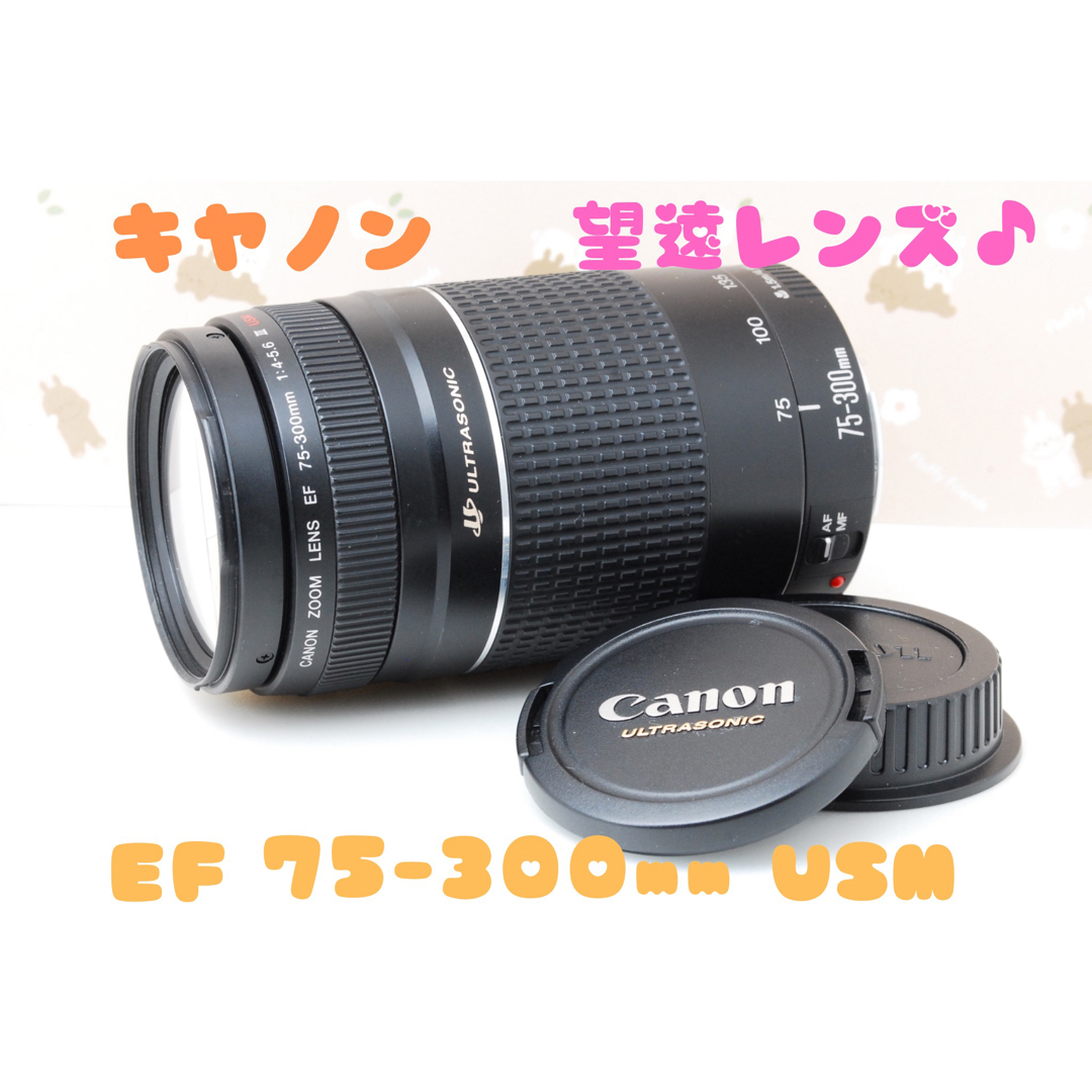 オンラインストア早割 望遠レンズ❤️Canon EF 75-300mm F4.0-5.6 Ⅲ