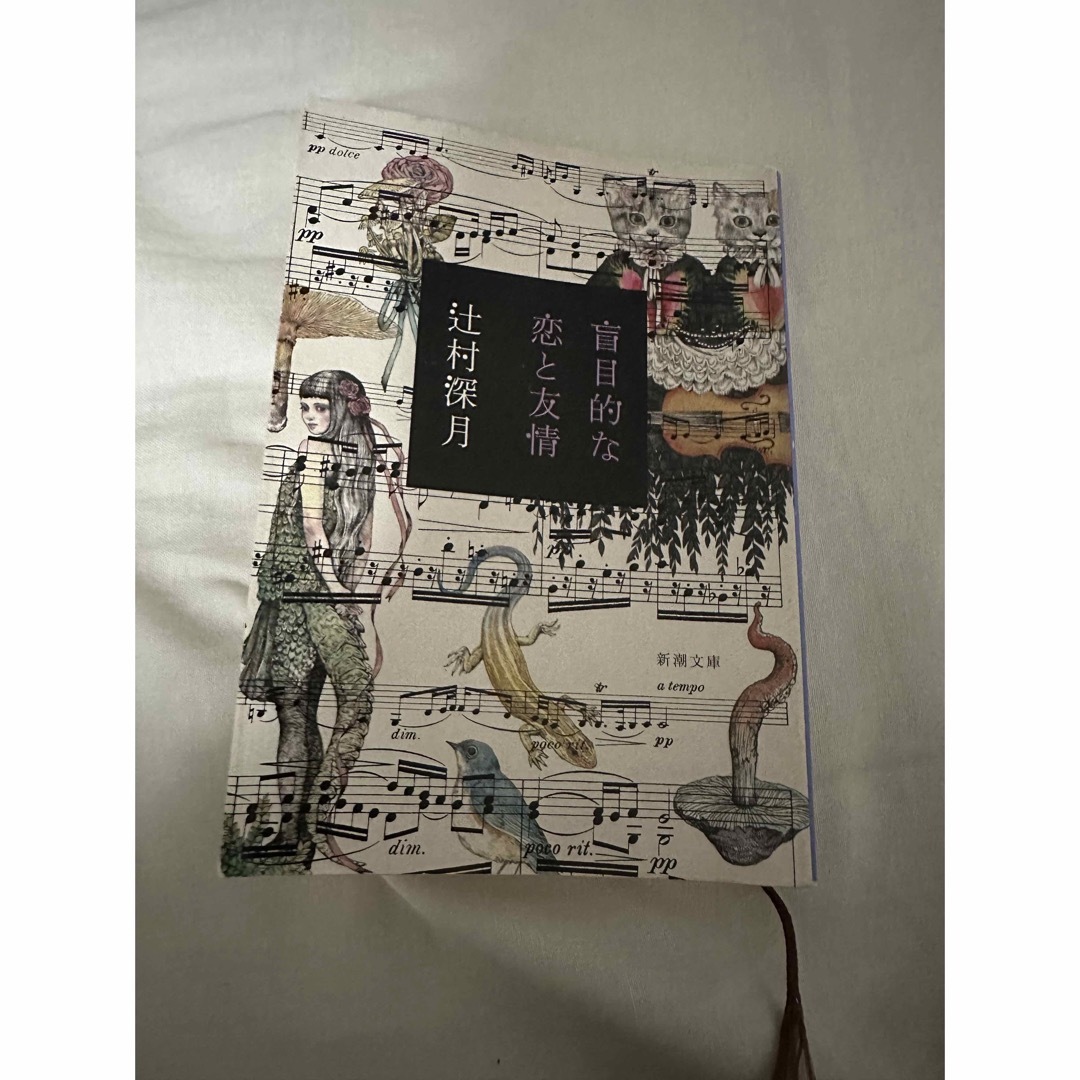 講談社(コウダンシャ)の盲目的な恋と友情 エンタメ/ホビーの本(文学/小説)の商品写真