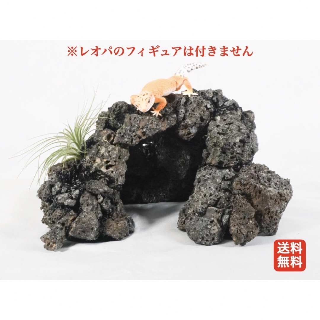 爬虫類用　本格派ロックシェルター(最終値下げ)