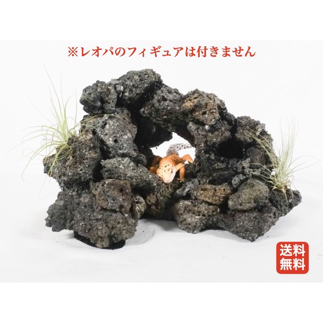 爬虫類用　本格派ロックシェルター(最終値下げ)