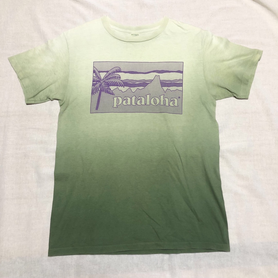 patagonia(パタゴニア)の【美品】Beneficial T'sパタロハ グラデーションTシャツ USA製  メンズのトップス(Tシャツ/カットソー(半袖/袖なし))の商品写真