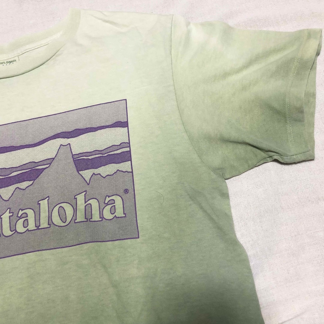 patagonia(パタゴニア)の【美品】Beneficial T'sパタロハ グラデーションTシャツ USA製  メンズのトップス(Tシャツ/カットソー(半袖/袖なし))の商品写真