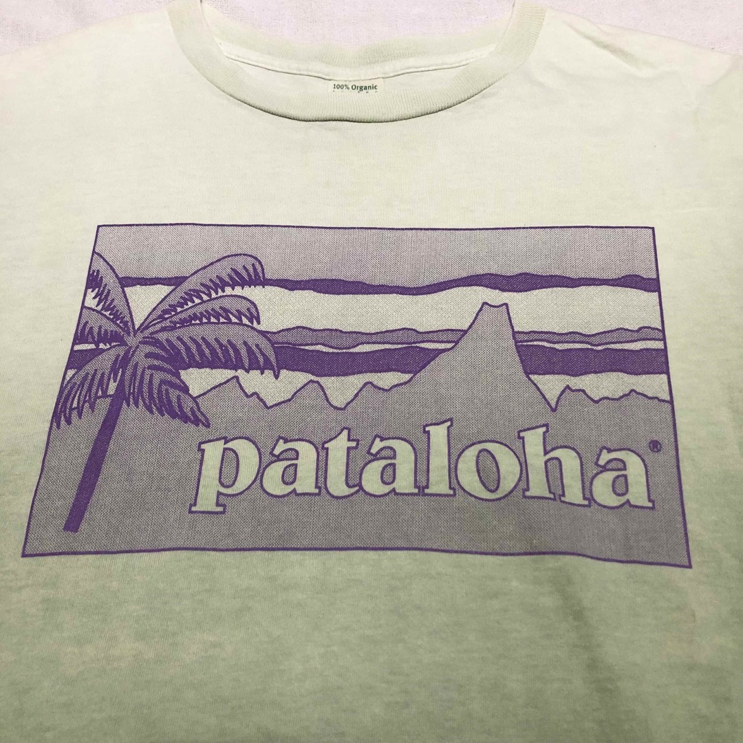 patagonia(パタゴニア)の【美品】Beneficial T'sパタロハ グラデーションTシャツ USA製  メンズのトップス(Tシャツ/カットソー(半袖/袖なし))の商品写真