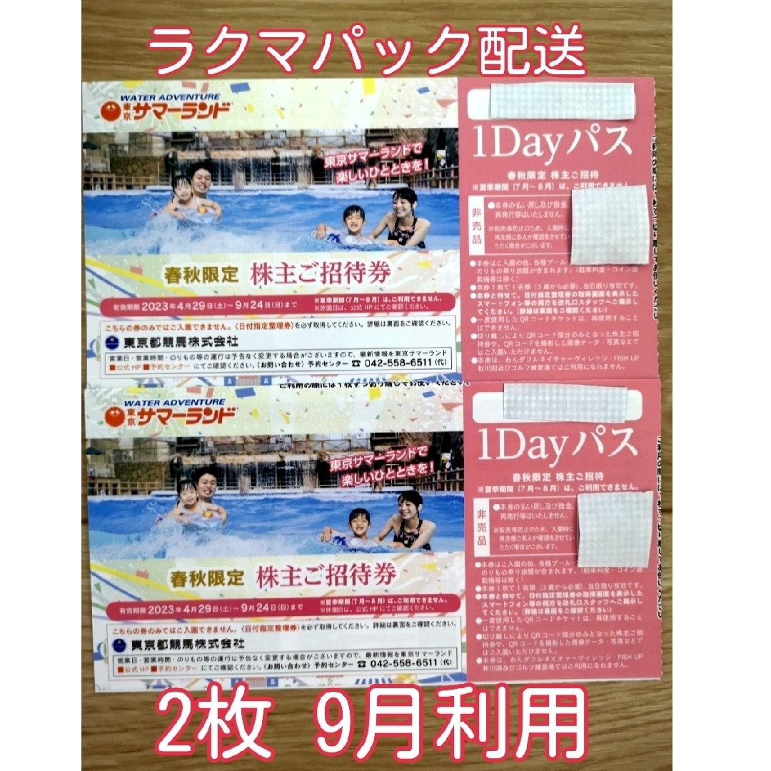 東京サマーランド 株主優待 2枚セット施設利用券