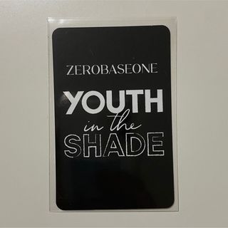 zerobaseone zb1 makestar パンダ　マシュー　トレカ