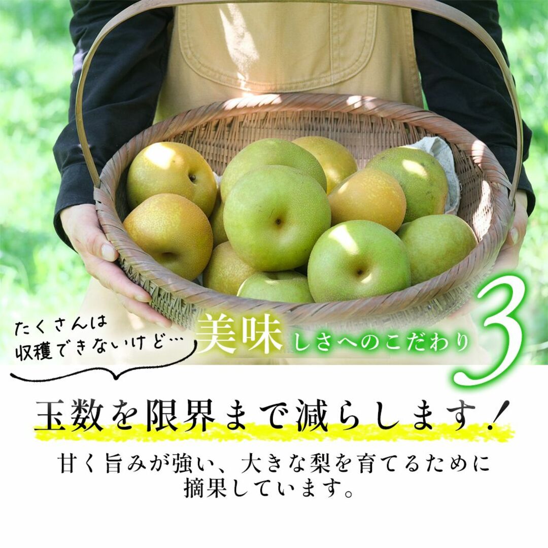 豊水  美味しい(7〜8玉入り)