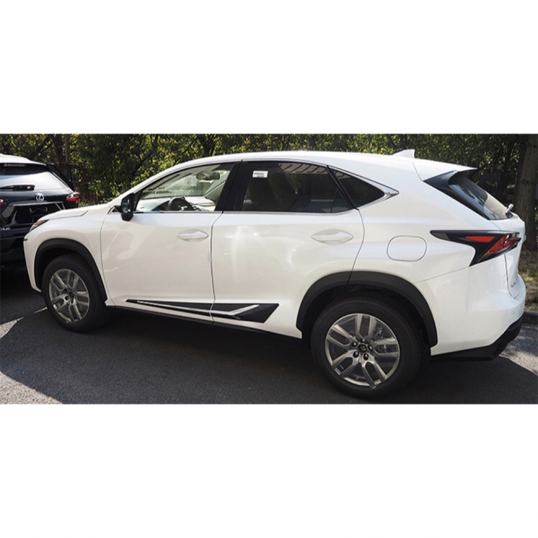 レクサス LEXUS     NX     サイドガーニッシュ【E36b】車外アクセサリ