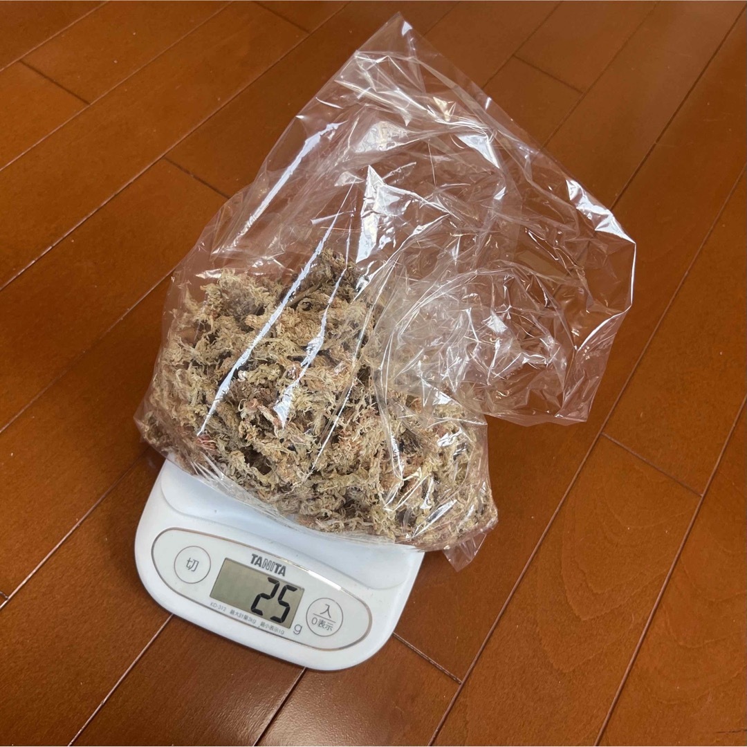 水苔 ミズゴケ 乾燥水苔 チリ産 Ａ級 25g ハンドメイドのフラワー/ガーデン(その他)の商品写真