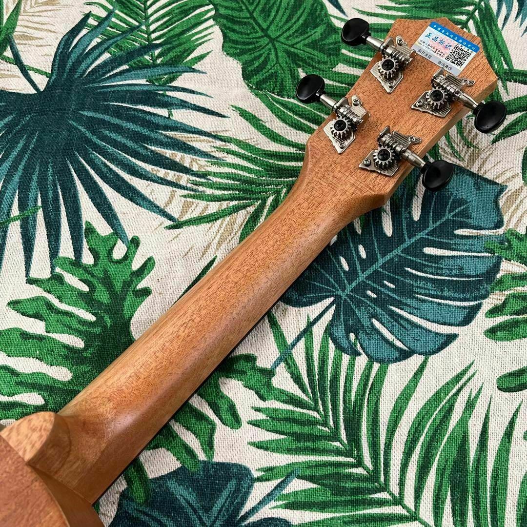 オンラインストア正規品 【入門セット】musicのドルフィン・ソプラノ