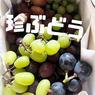 ぶどう食べ比べ  低農薬  家庭用  約1kg(フルーツ)