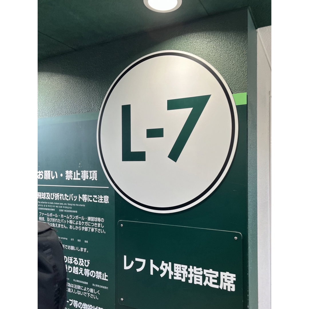 阪神 VS 巨人 9月12日 レフト外野指定席 通路側ペア