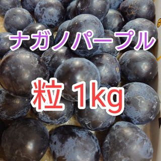 ナガノパープル　粒　箱込み1kg　稙無しぶどう　長野県産(フルーツ)