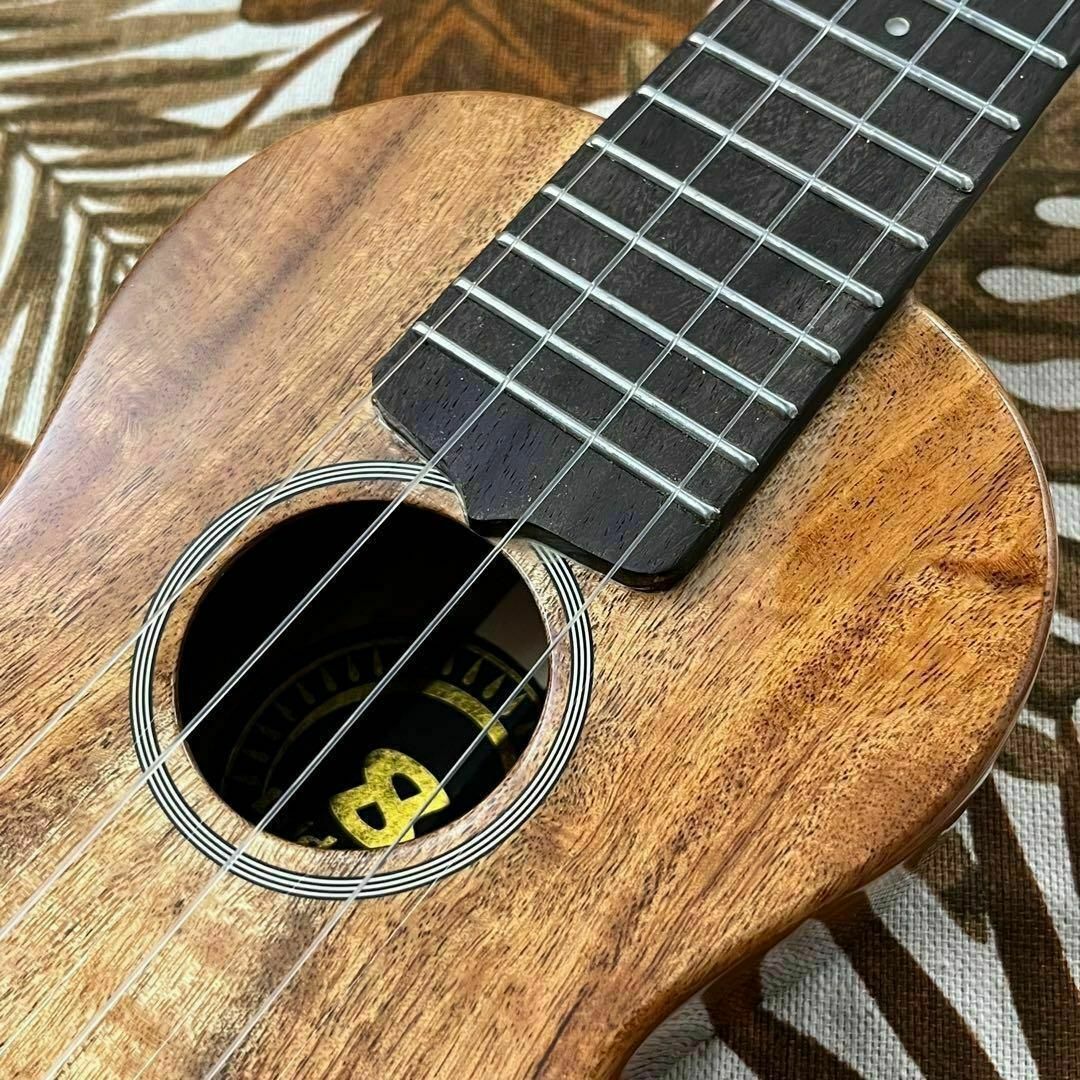 【Bright sun】コア材単板の薄型エレキウクレレ【ukulele】 3