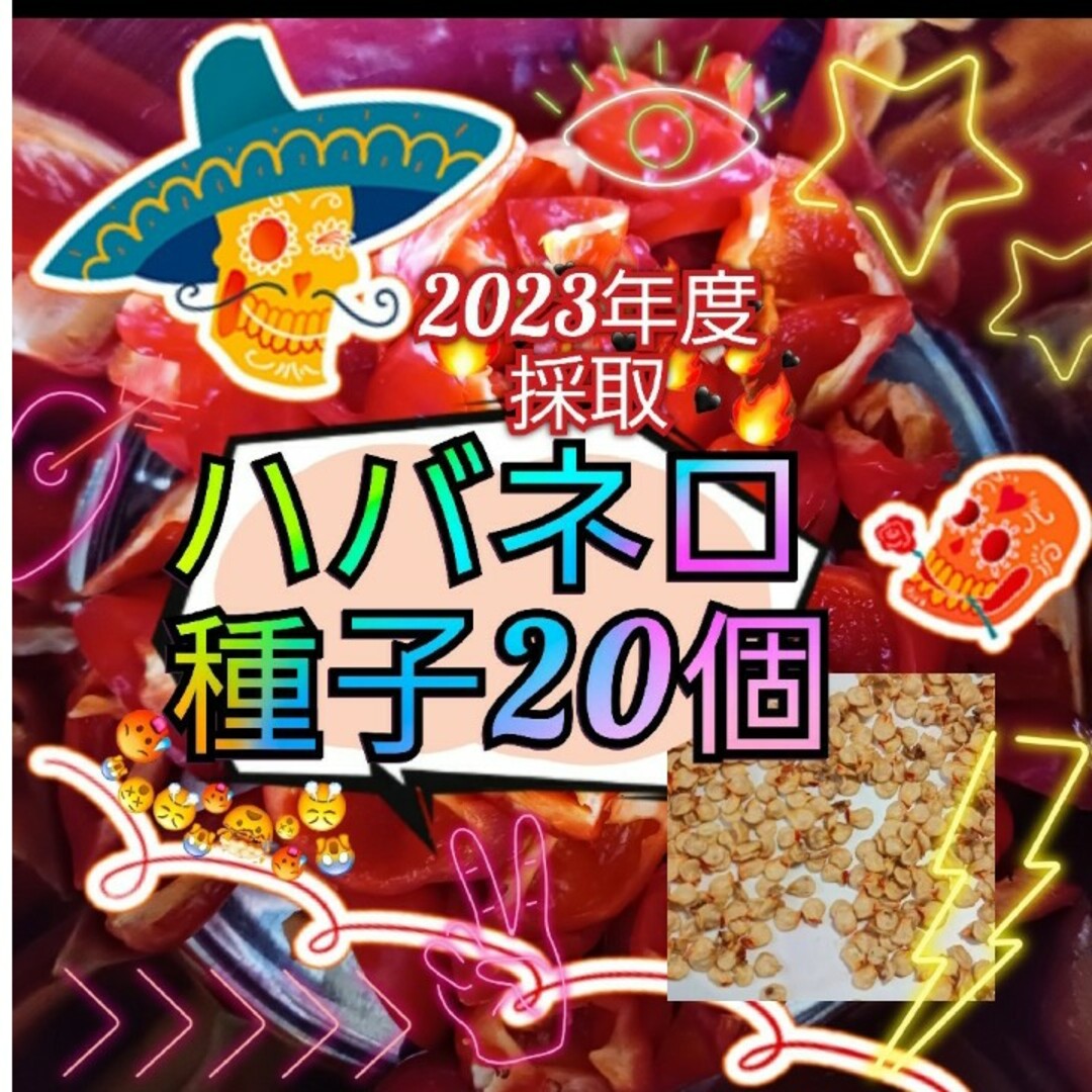 【同梱で50円値引き】★2023年度採取★ ハバネロ 種子 20個 赤色 インテリア/住まい/日用品のインテリア/住まい/日用品 その他(その他)の商品写真