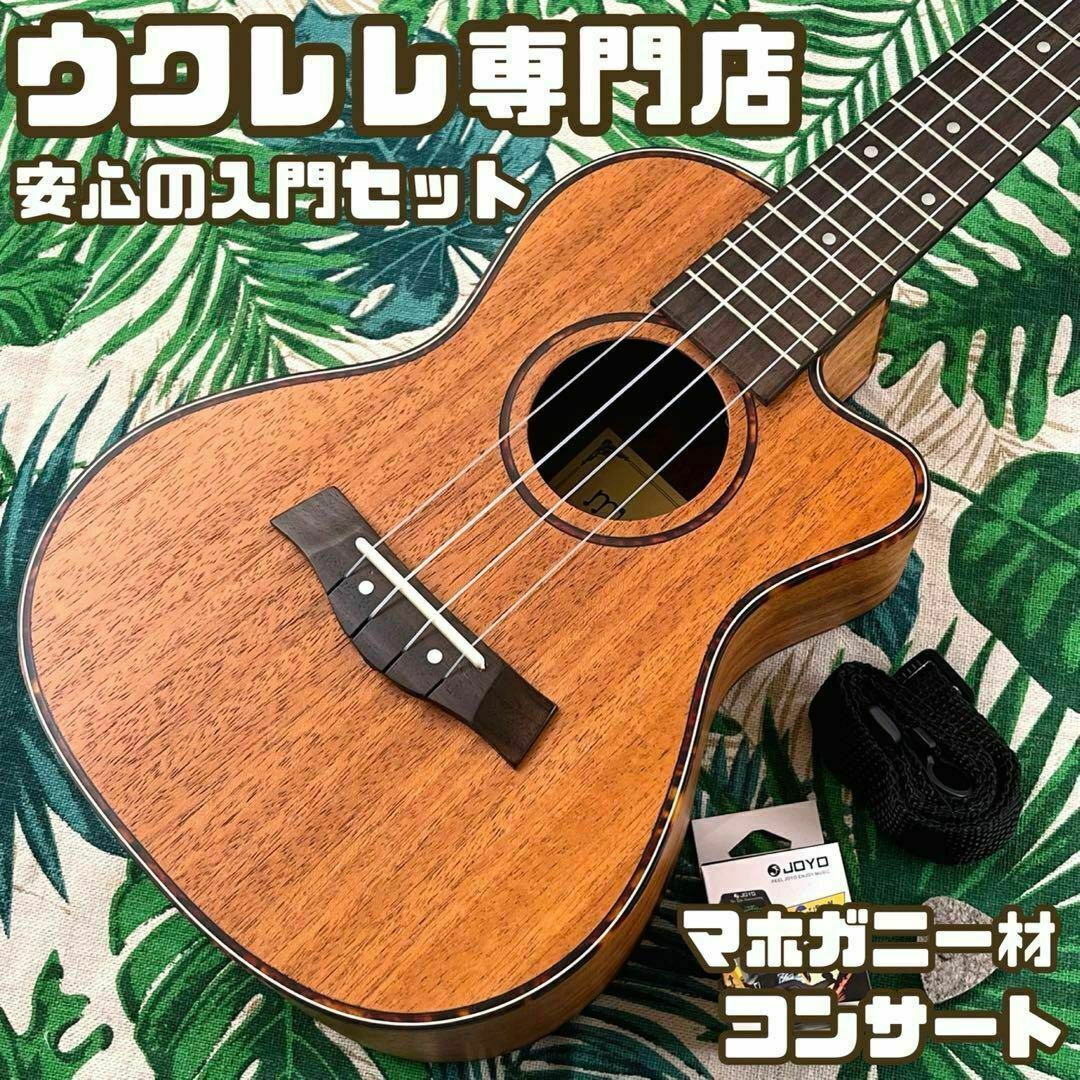 入門セット】musicのカッタウェイ・コンサートウクレレ【ウクレレ専門