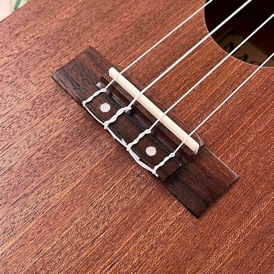 Naomi ukulele】レアなパイナップル型エレキ・コンサートウクレレの