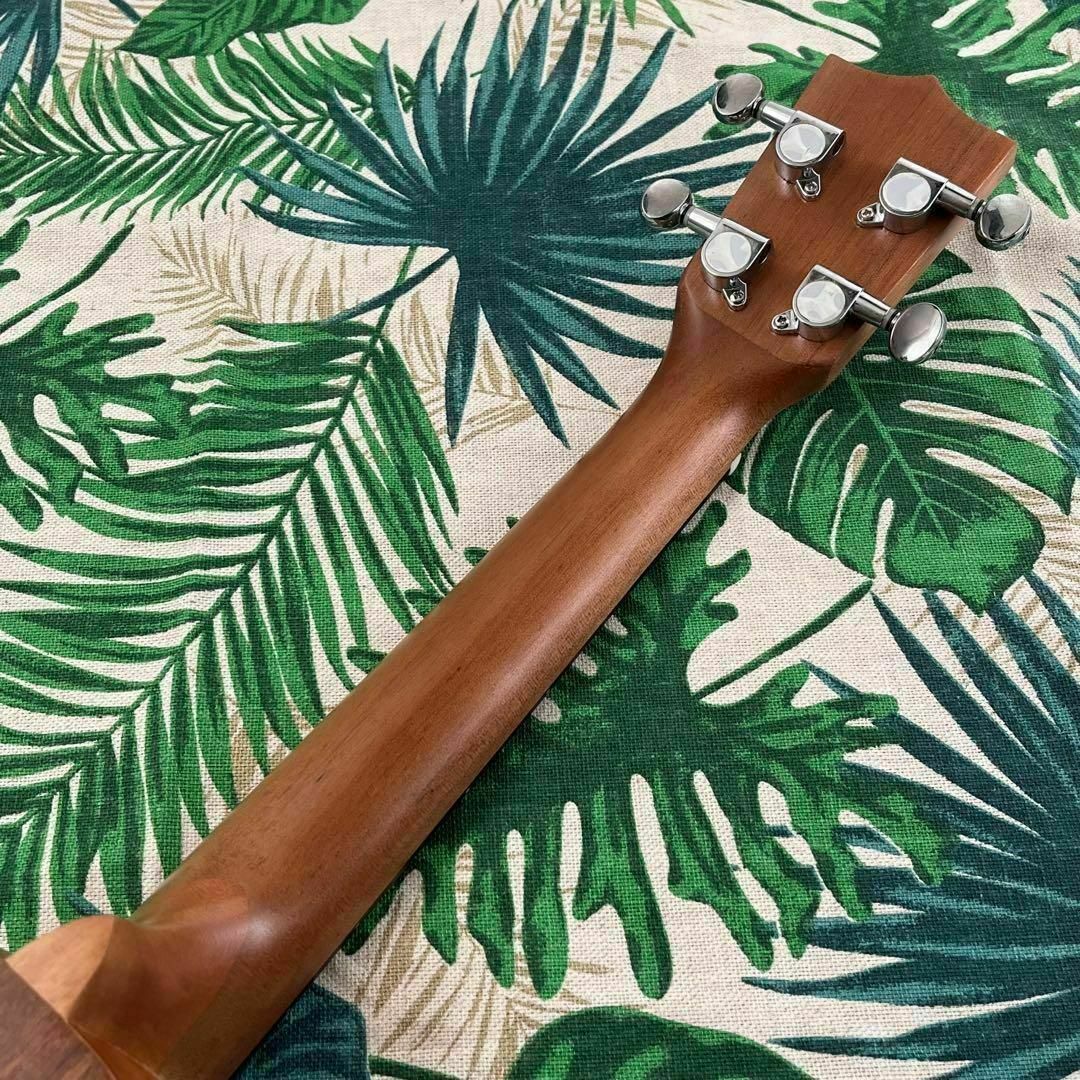 Naomi ukulele】レアなパイナップル型エレキ・コンサートウクレレの