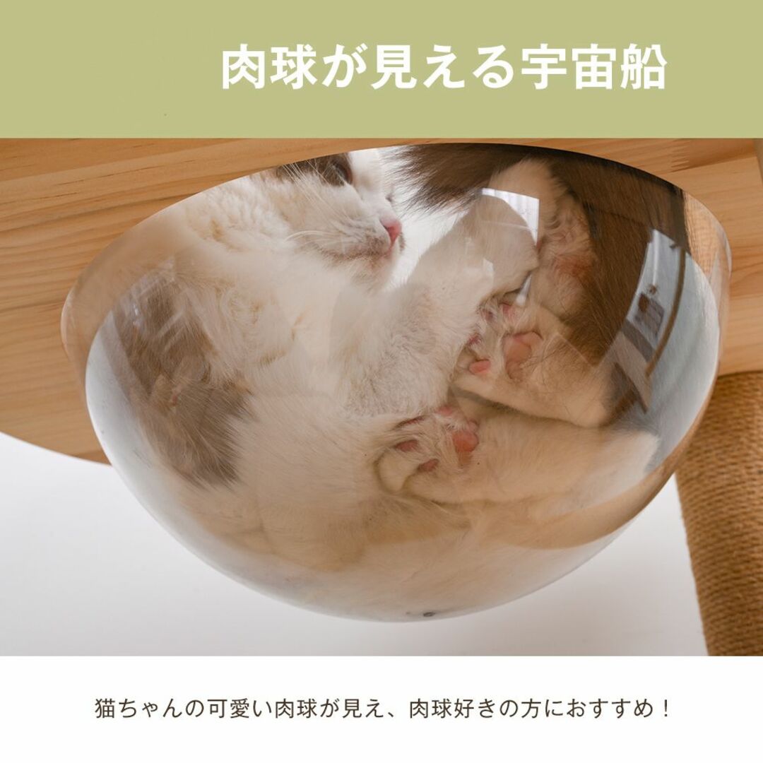 キャットタワー 猫タワー 天然木製 宇宙船付き 麻紐支柱 爪とぎ おもちゃ付き 5