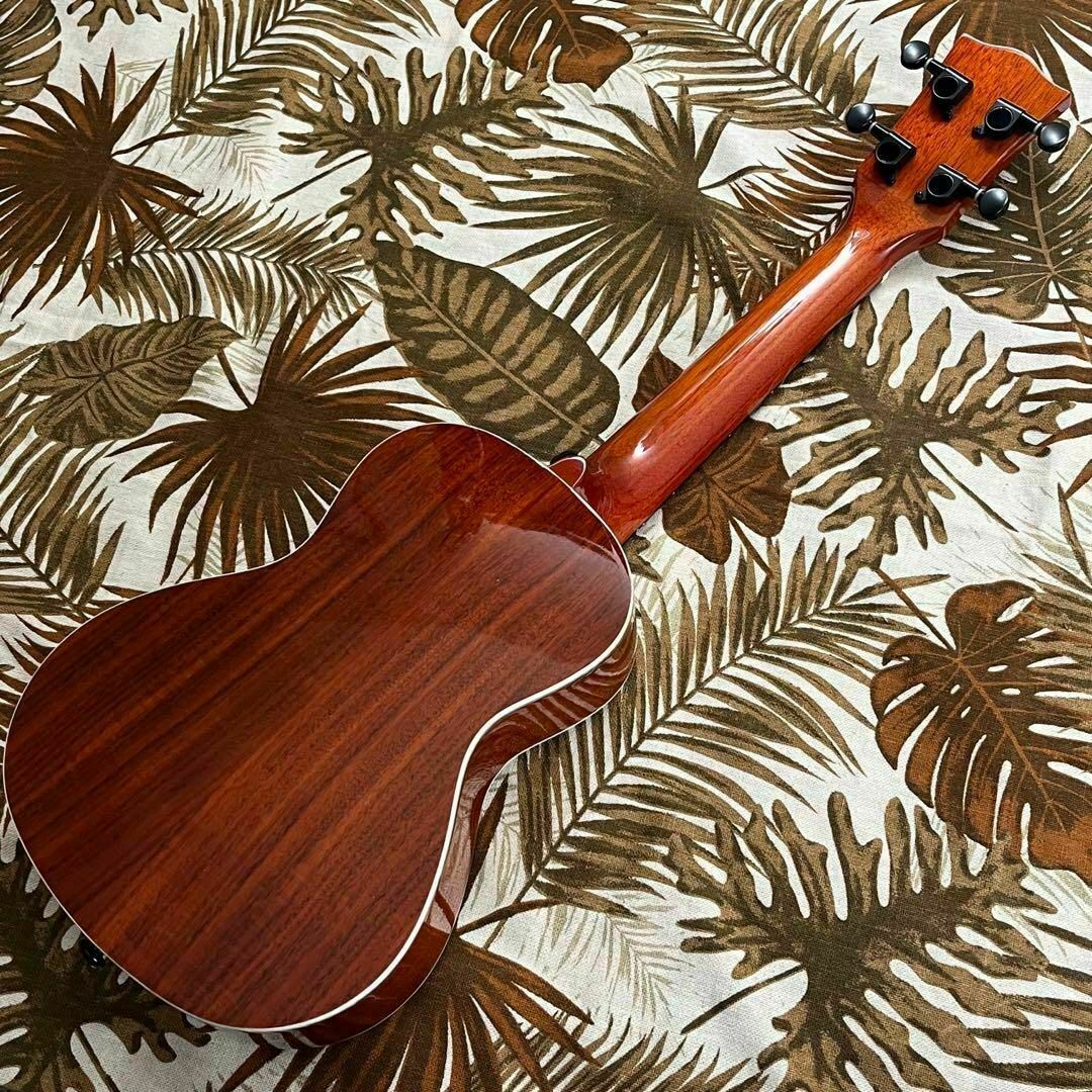 oriental Cherry】アカシア単板のコンサートウクレレ【UK専門店