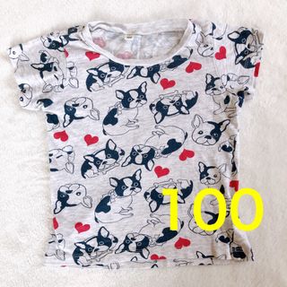 【Tシャツ】フレンチブルドッグ　パグ　100  キッズ　犬(Tシャツ/カットソー)