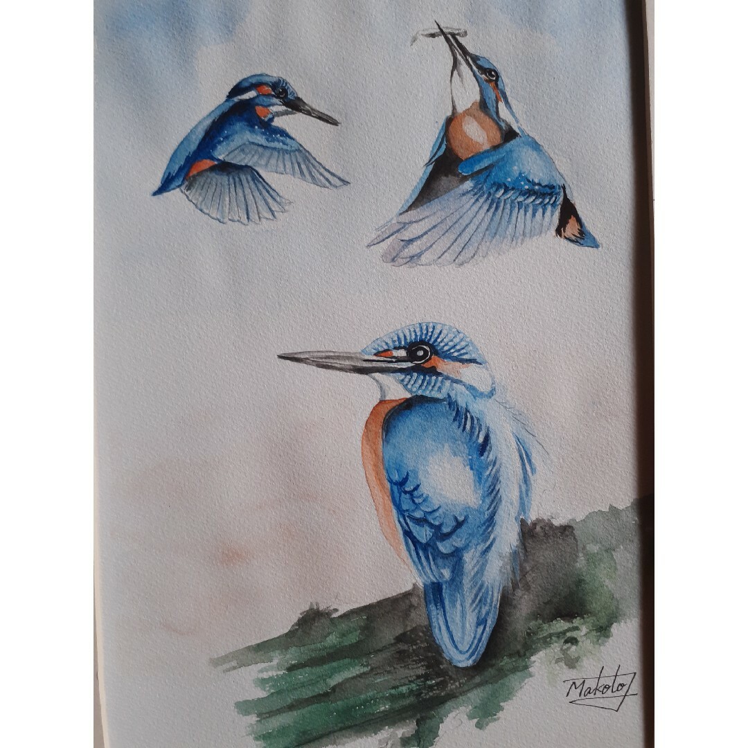 絵画 カワセミ 原画 打ち込み 絵画 カワセミ 原画 打ち込み