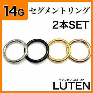 14G　セグメントリング　2本　軟骨　耳たぶ　フープ　ステンレス　ボディピアス(ピアス(片耳用))