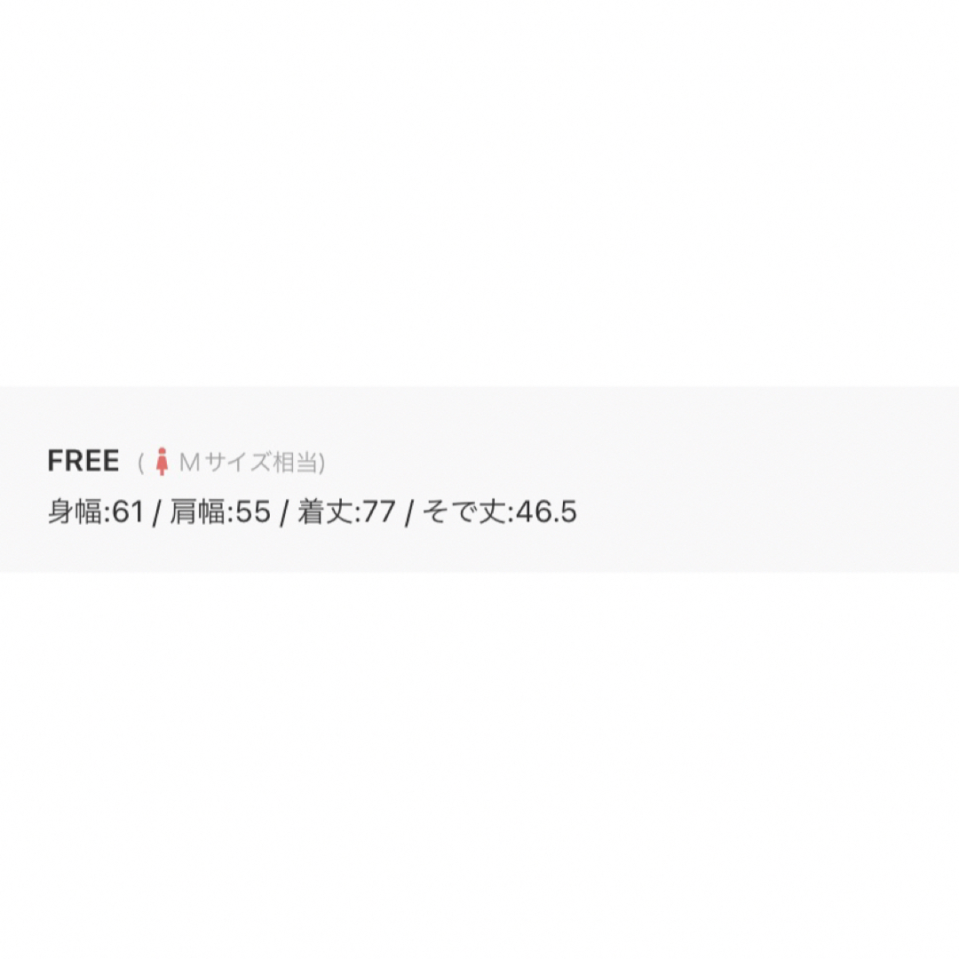 tip top(ティップトップ)の【tiptop】ビックシアーTシャツ  ブルー / 大きいサイズ レディースのトップス(シャツ/ブラウス(長袖/七分))の商品写真