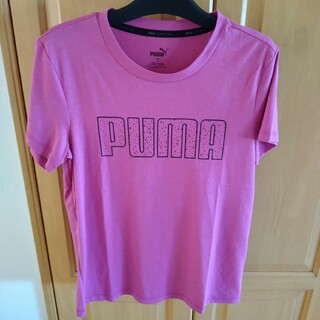 プーマ(PUMA)の新品　PUMATシャツ　新品レディースTシャツ　ピンク(Tシャツ(半袖/袖なし))