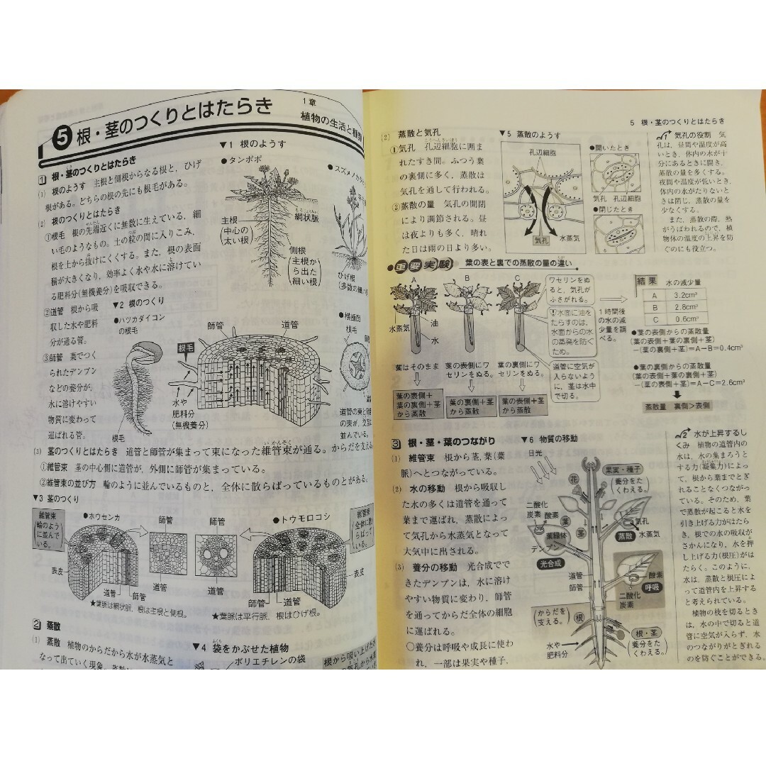 新中学問題集　理科1年　中学1年　テキスト　問題集　解答解説付き エンタメ/ホビーの本(語学/参考書)の商品写真