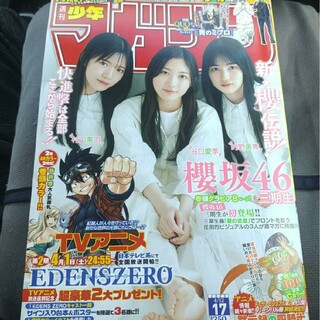 コウダンシャ(講談社)の櫻坂46 三期生 週刊少年マガジン 17号 付録応募券無し(少年漫画)