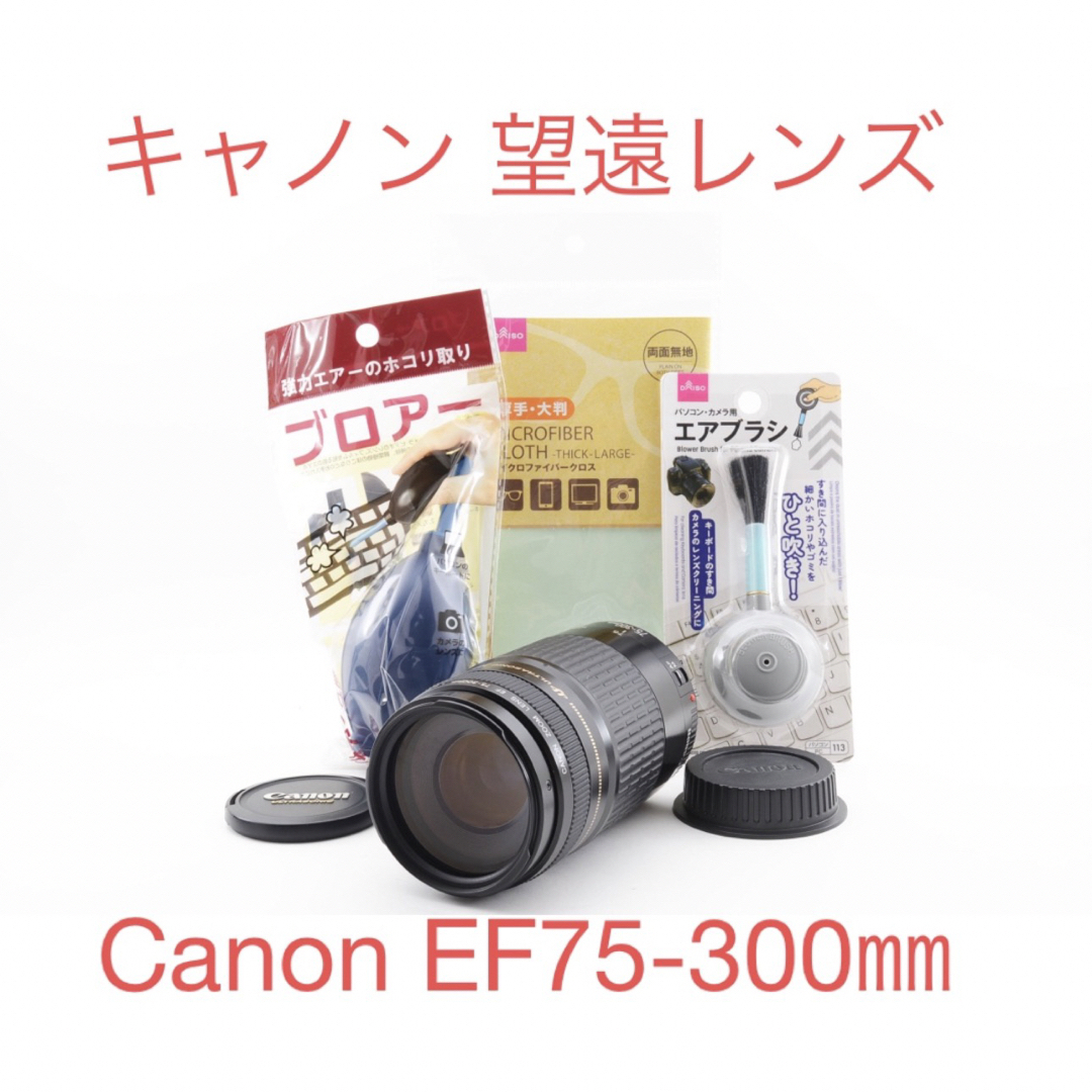 【美品】キャノン 望遠レンズCANON ZOOM LENS EF 75-300