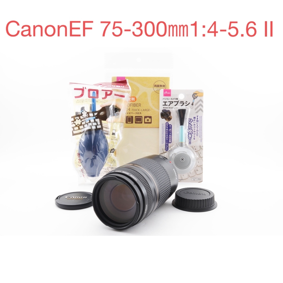 Canon - 望遠 ズーム レンズ キャノン Canon EF75-300㎜の通販 by ...