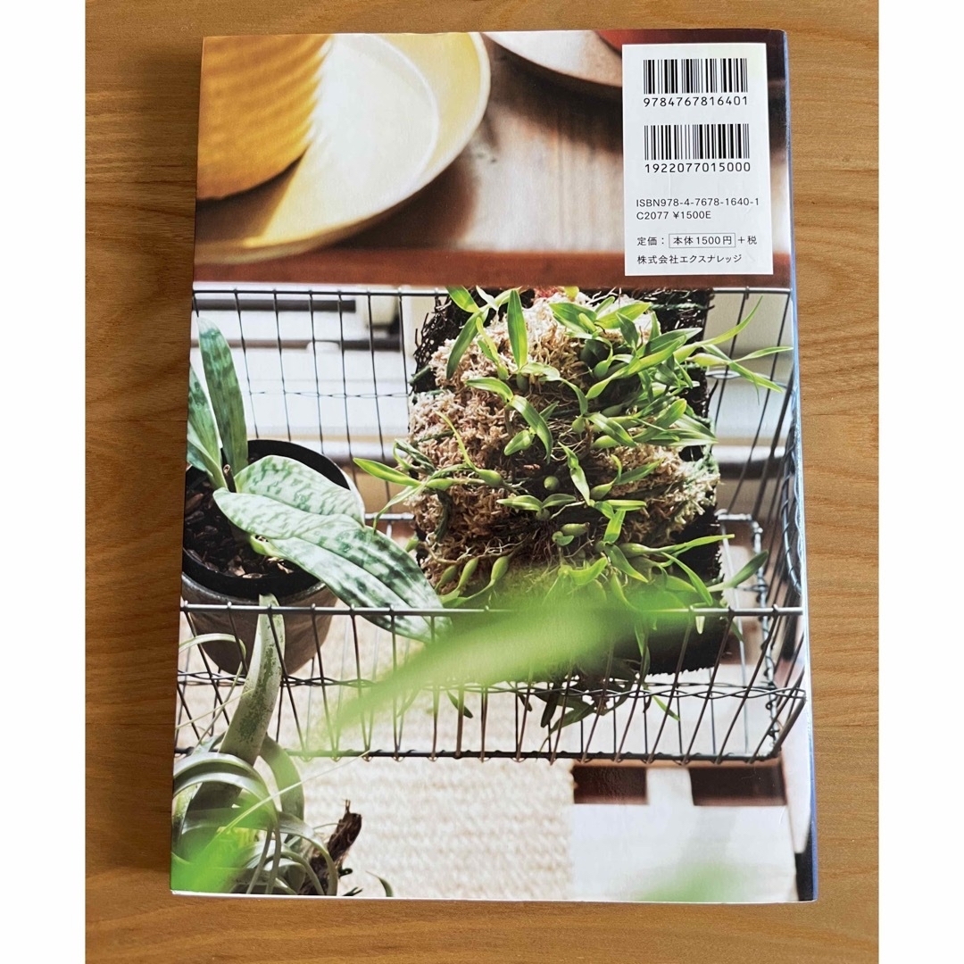 グリ－ン、多肉植物、エアプランツアレンジＢＯＯＫ。 エンタメ/ホビーの本(趣味/スポーツ/実用)の商品写真