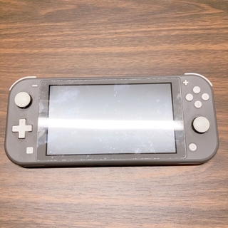 ニンテンドースイッチ(Nintendo Switch)のらっこ様 専用欄(携帯用ゲーム機本体)