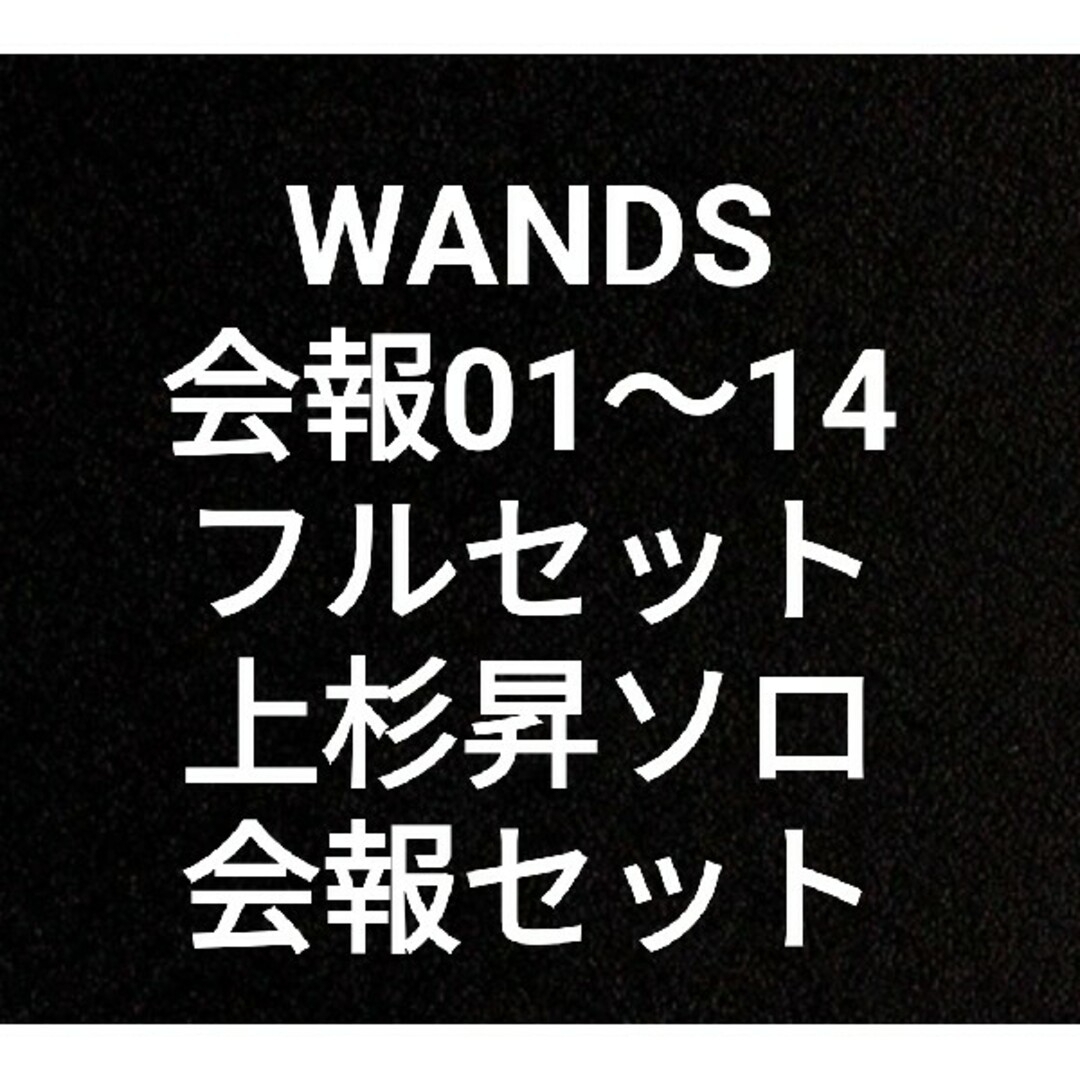 第二期 WANDS  ワンズ 上杉昇 会報 #1～14  ソロStorobila