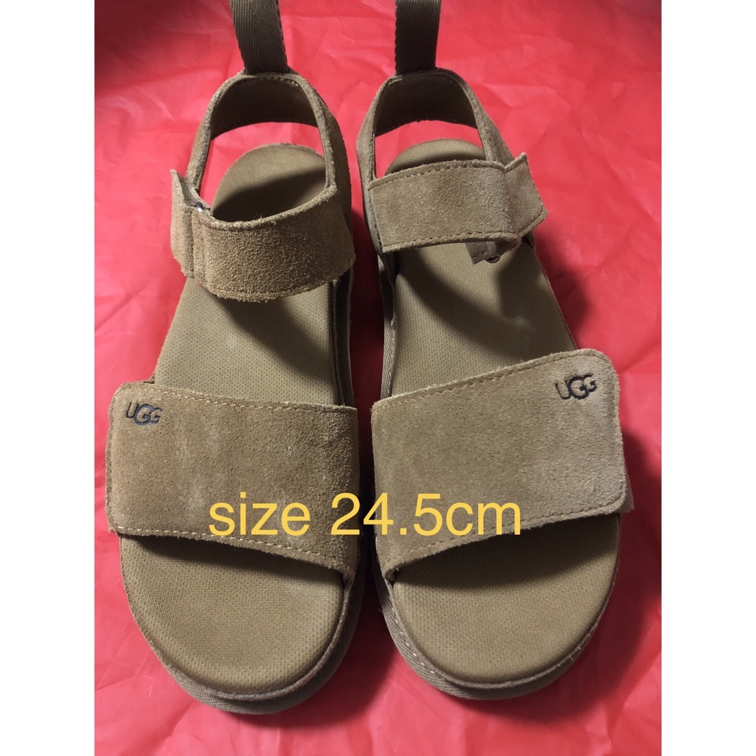 UGG goldenstar ブラウン 24.5cm