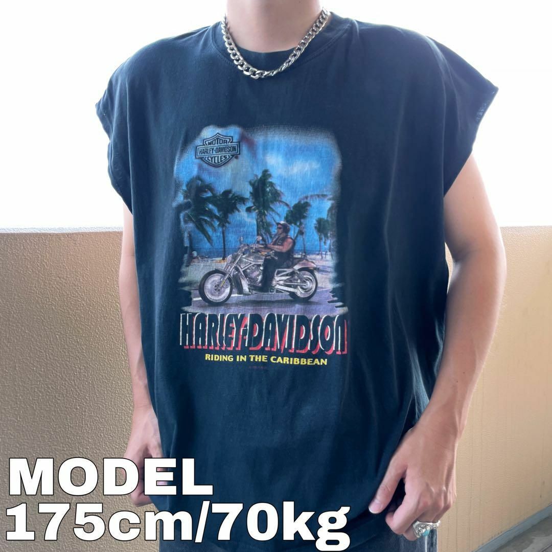 harley davidson ハーレーダビットソン ヴィンテージ Tシャツ 黒