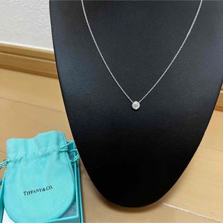 ティファニー(Tiffany & Co.)のティファニー TIFFANY＆CO サークレットダイヤネックレス　Pt950(ネックレス)