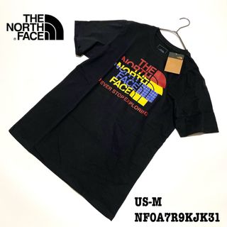 【新品】US-L ノースフェイス 半袖 Tシャツ グラフィック TEE 黒 海外