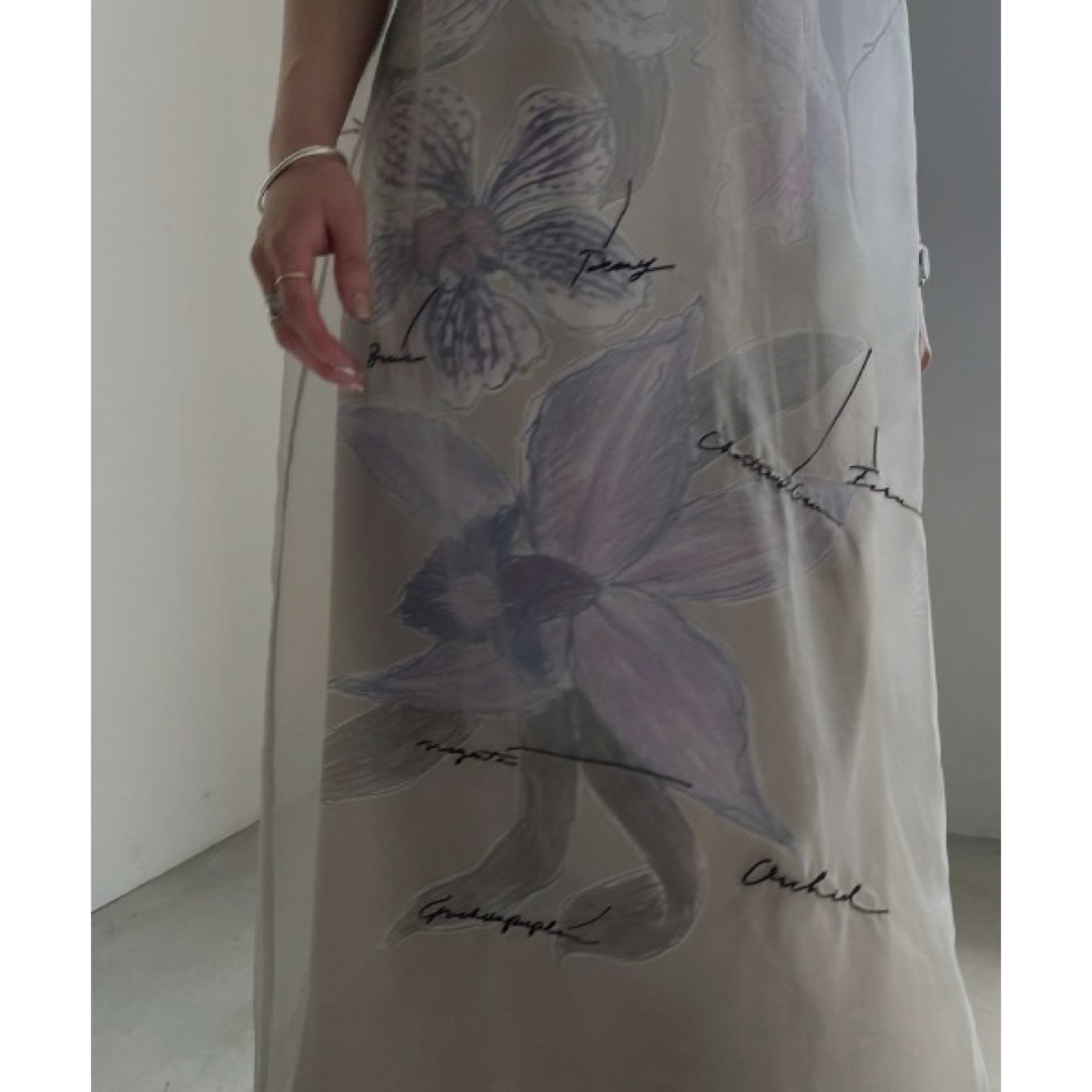 Ameri VINTAGE(アメリヴィンテージ)のAMERI SHEER LAYERED DRESS 新品 レディースのワンピース(ロングワンピース/マキシワンピース)の商品写真